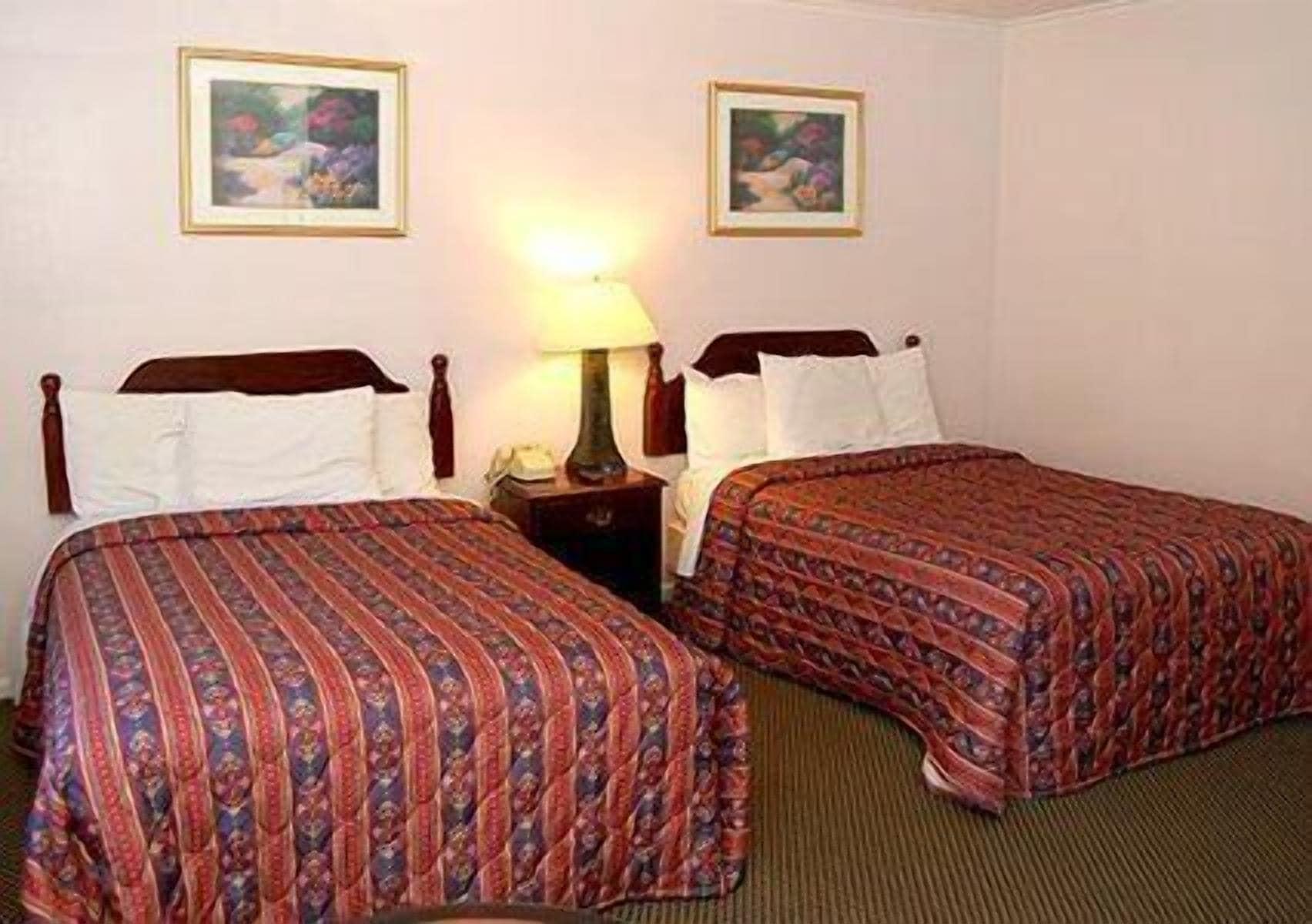 Kingston Motel Room photo